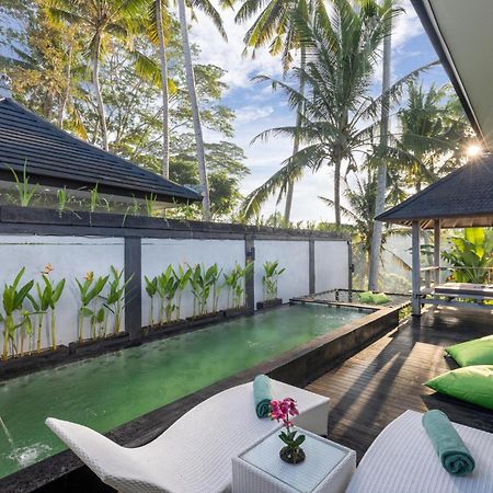 Capung Asri Eco Luxury Resort With Private Pool Villas Bedulu 외부 사진