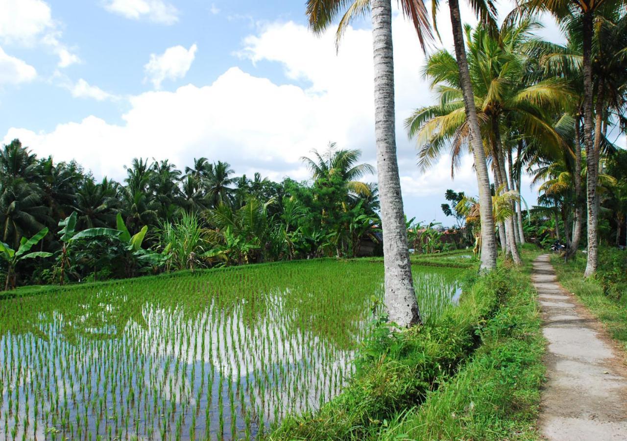 Capung Asri Eco Luxury Resort With Private Pool Villas Bedulu 외부 사진