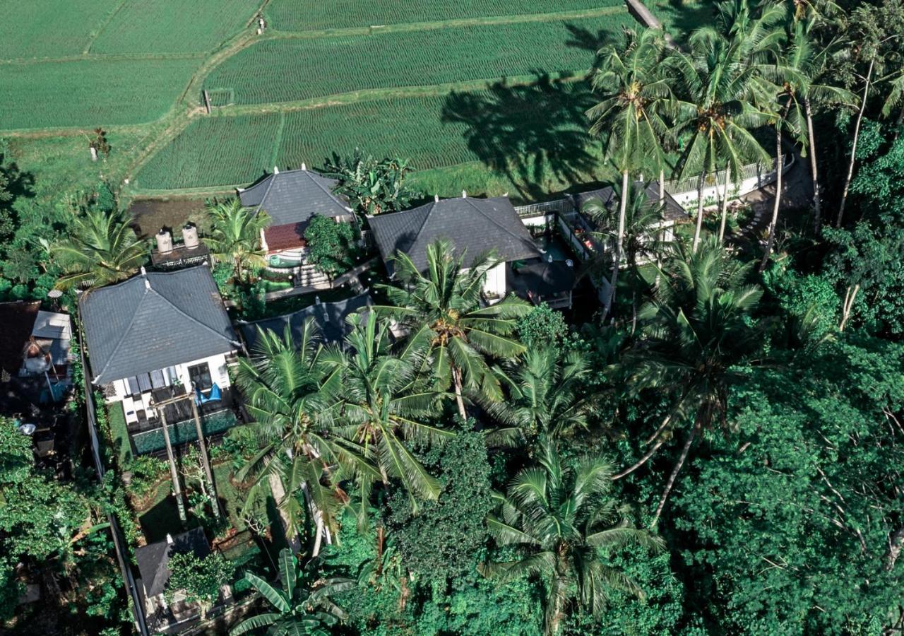 Capung Asri Eco Luxury Resort With Private Pool Villas Bedulu 외부 사진